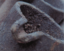 ����/�{ �L��image3