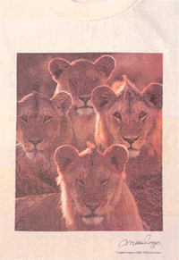 Art T-shirts/�⍇����