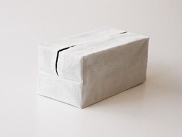 ���X/�e�B�b�V���P�[�X/�z���C�g