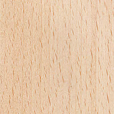 �f��/�r�[�`��