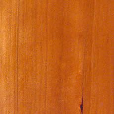 �f��/�`�F���[��