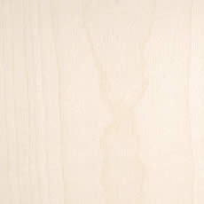 �f��/���[�v����