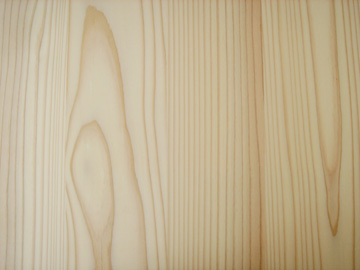 designshop/���쐳��/Artless Table