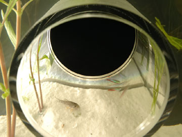 �Ɩ��t������/�v���C�x�[�g �A�N�A���E��/top