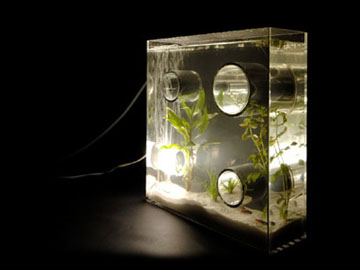 �Ɩ��t������/�v���C�x�[�g �A�N�A���E��/top