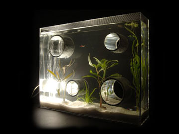 �Ɩ��t������/�v���C�x�[�g �A�N�A���E��/���C�h