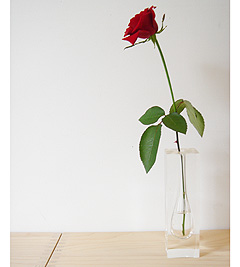 designshop/�R���|�W�b�g�x�[�X