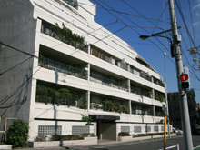 ���z�O���}���V����4