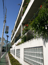 ���z�O���}���V����5