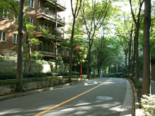 �L���K�[�f���q���Y3