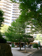 �L���K�[�f���q���Y4