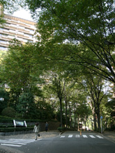 �L���K�[�f���q���Y5