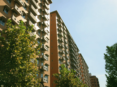 �������}���V�����Y