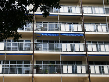 ���]���O�c4