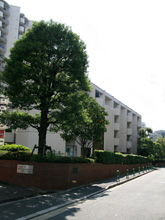 �O�c�n�E�X5