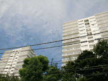 �O�c�j���p�[�N�}���V����2