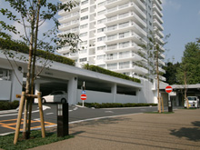 �O�c�j���p�[�N�}���V����3