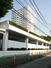 �O�c�j���p�[�N�}���V����6