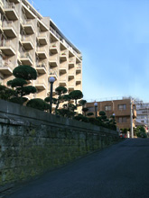 �����n�C�c6