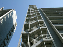 �c�C����̋�4