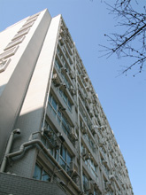 �c�C����̋�7