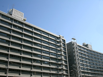 �c�C����̋�