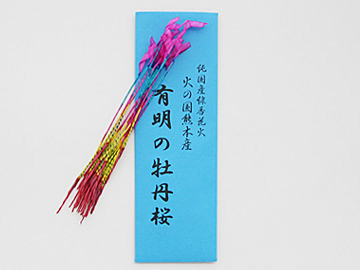 designshop/�����ԉ�/�L���̉��O��