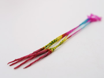 designshop/�����ԉ�/�L���̉��O��